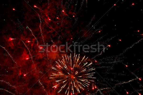 Fireworks in the night sky Stock photo © artush