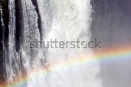 The Victoria falls with rainbow on water Stock photo © artush