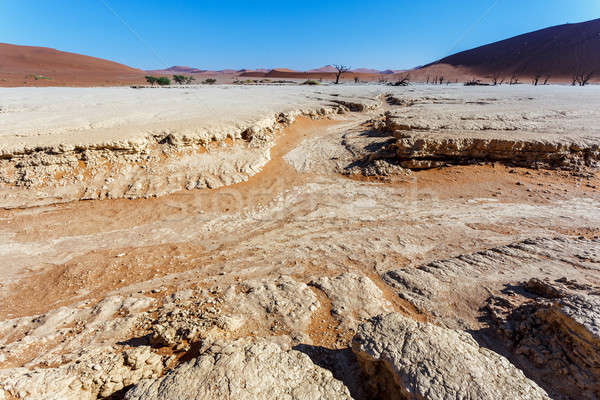 Sossusvlei beautiful landscape of death valley Stock photo © artush