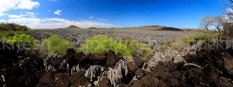 Tsingy rock formations in Ankarana, Madagascar wilderness Stock photo © artush