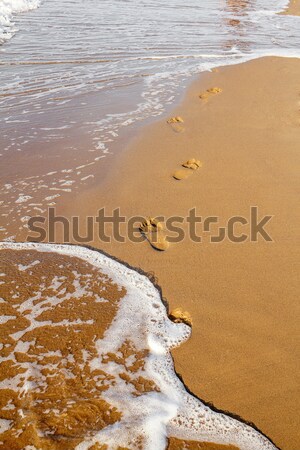 Footsteps on the beach Stock photo © artush