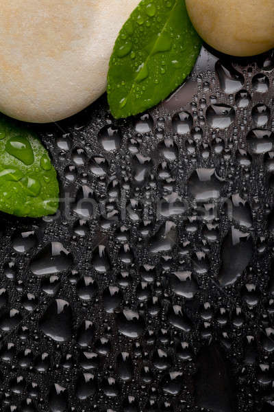 Zen kövek fekete vízcseppek kavics zöld levél Stock fotó © artush