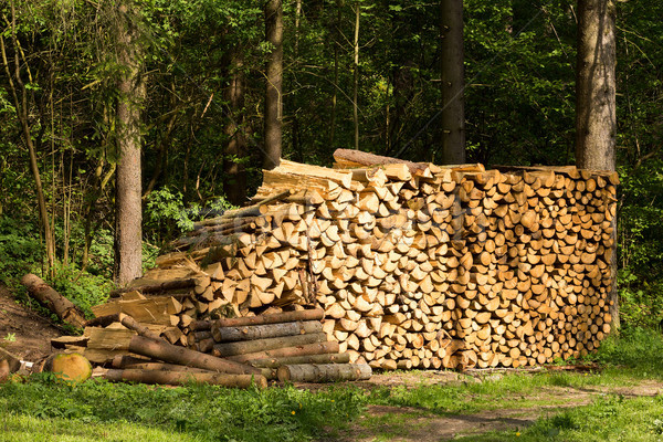 Voorbereiding brandhout winter textuur boom Stockfoto © artush