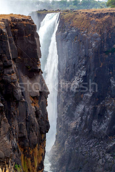 The Victoria falls with mist from water Stock photo © artush