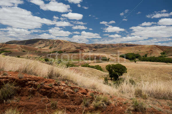 Tradycyjny Madagaskar krajobraz rolniczy gruntów puszka Zdjęcia stock © artush