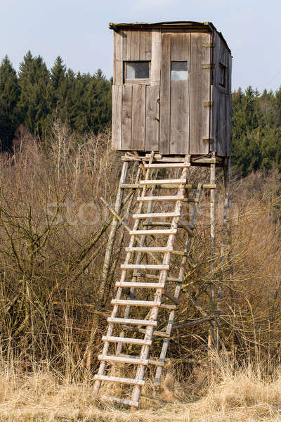 Wooden Hunters High Seat, hunting tower Stock photo © artush