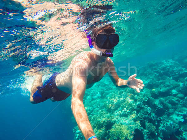 Snorkel swims in shallow water, Red Sea, Egypt Stock photo © artush