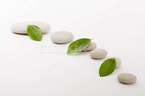 [[stock_photo]]: Zen · pierres · feuille · verte · caillou · comme · pierre