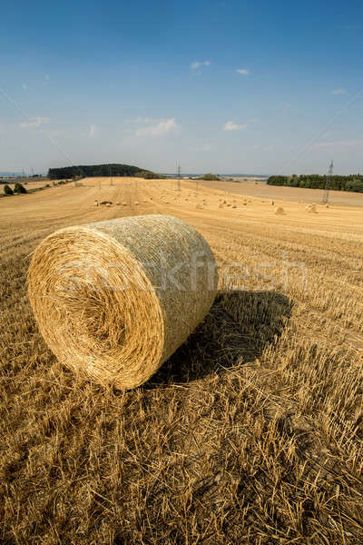 Foto d'archivio: Bella · panorama · paglia · campi · Repubblica · Ceca · cielo · blu