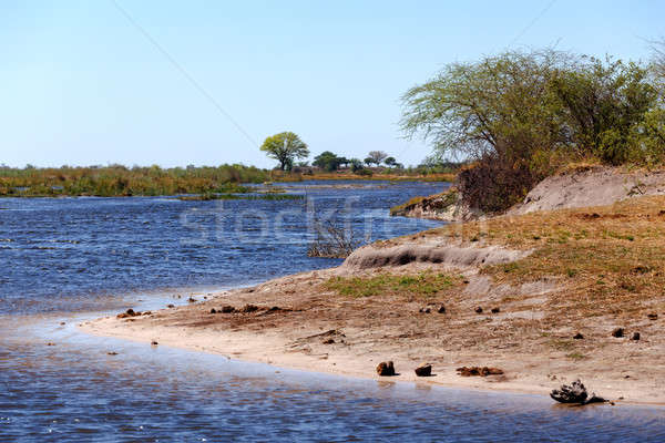 African landscape with river Stock photo © artush