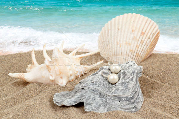 two pearl earrings and shells on sand Stock photo © artush