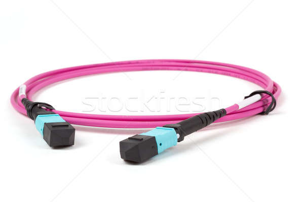 Stock photo: fiber optic MTP (MPO) pigtail, patchcord connectors