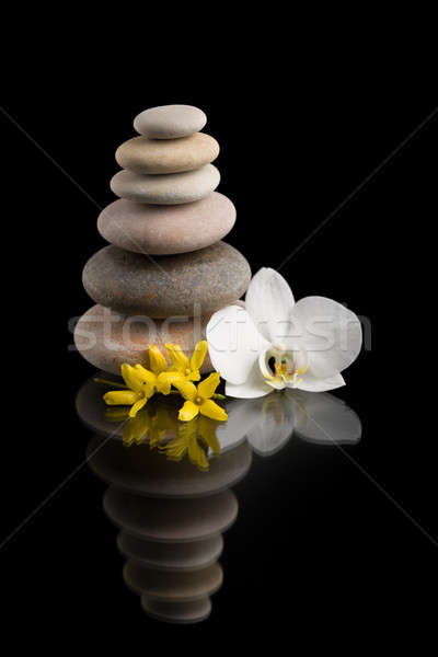 balancing zen stones on black with white flower Stock photo © artush