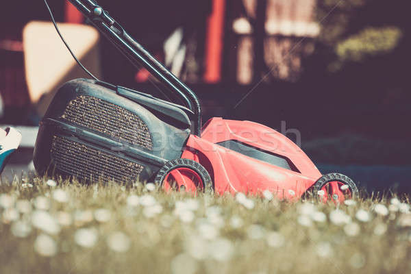lawnmower on green grass Stock photo © artush