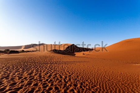 美麗 景觀 隱 沙漠 日出 死 商業照片 © artush
