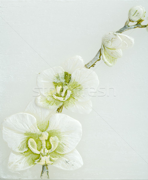 Stock photo: abstract spring background with flowers