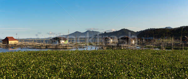 Fish farm at Lake Tondano Stock photo © artush