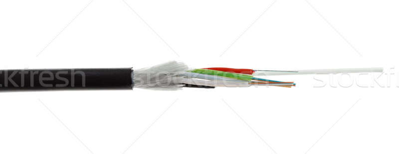 Fibra optic cablu detaliu izolat alb Imagine de stoc © artush