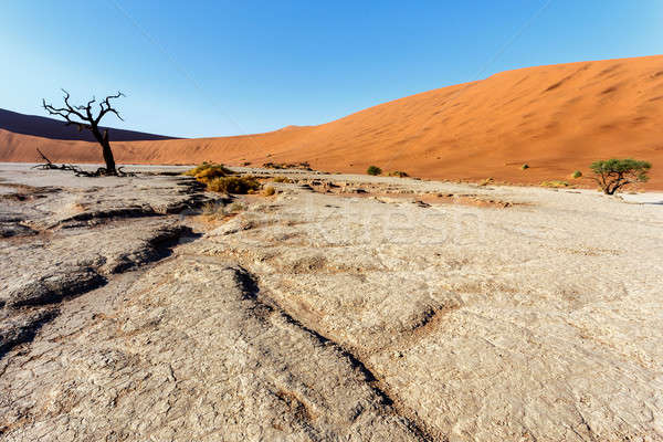 beautiful landscape of Hidden Vlei in Namib desert  Stock photo © artush