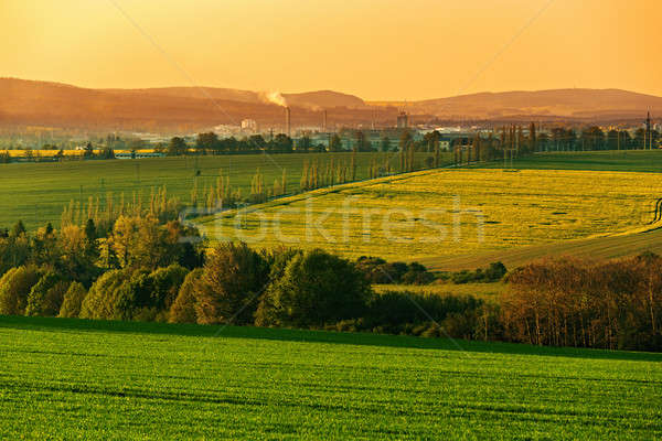Beautiful spring rural landscape Stock photo © artush