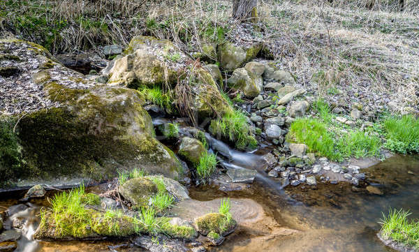 Falls on the small mountain river in a wood Stock photo © artush