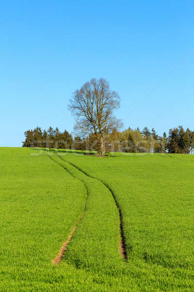 Lata wiejski krajobraz wiosną Czechy region Zdjęcia stock © artush