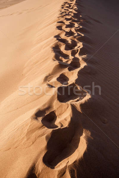 human footprints on dune in Hidden Vlei in Namib desert  Stock photo © artush
