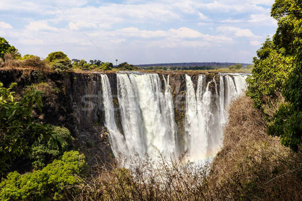 The Victoria falls with mist from water Stock photo © artush