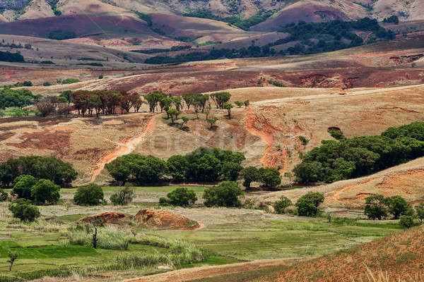 Hagyományos Madagaszkár domb tájkép mezőgazdasági föld Stock fotó © artush