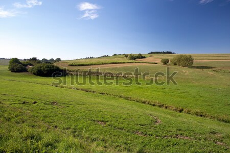 Zomer landelijk landschap Tsjechische Republiek regio voorjaar Stockfoto © artush