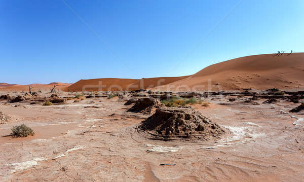 ストックフォト: 砂丘 · 隠された · 砂漠 · 美しい · 日の出 · 死んだ