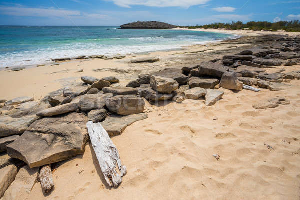 Paraíso areia praia Madagáscar indiano oceano Foto stock © artush