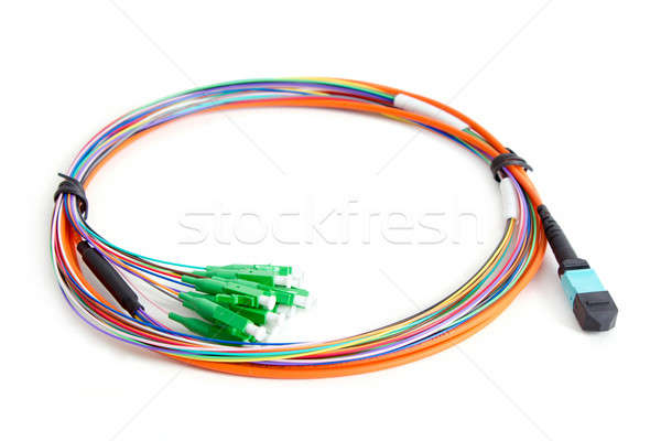 Ribbon fiber optic fun out patchcord with connector MTP Stock photo © artush