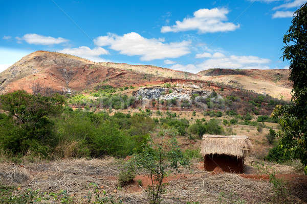 Traditional Madagascar highland landscape Stock photo © artush