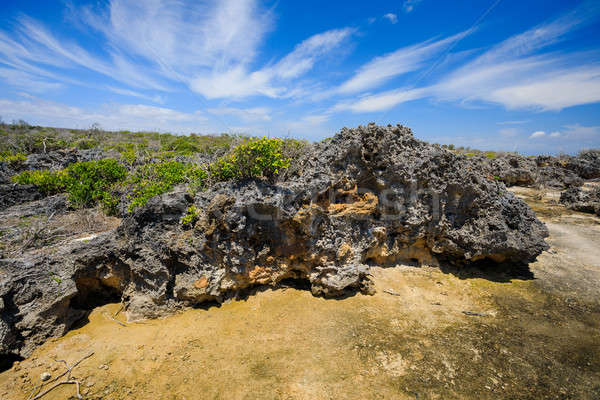Strand Madagascar mooie rotsformatie regio indian Stockfoto © artush