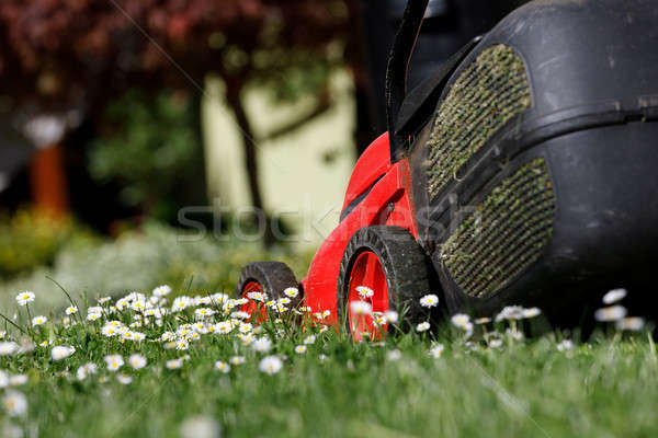 芝刈り機 緑の草 緑 庭園 草 晴れた ストックフォト © artush