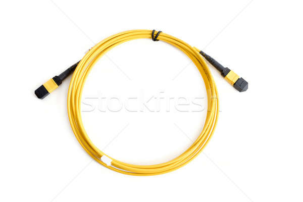 Ribbon fiber optic patchcord with connector MTP Stock photo © artush
