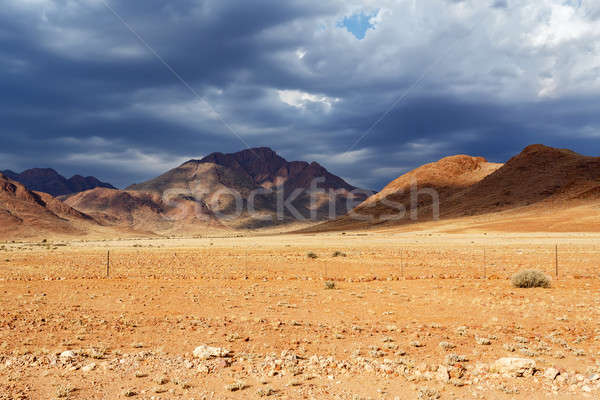 panorama of fantrastic Namibia moonscape landscape Stock photo © artush