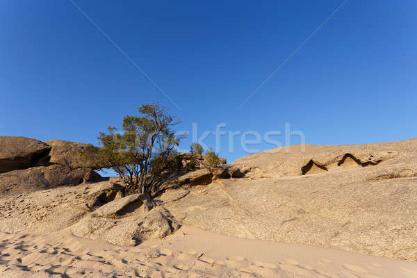 Formazione rocciosa deserto tramonto panorama Namibia africa Foto d'archivio © artush