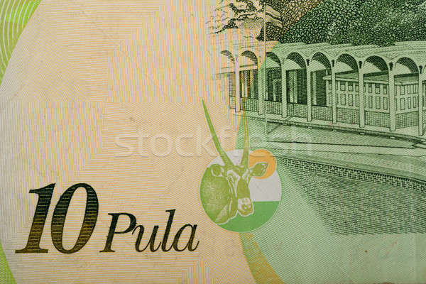 Detail of 10 Botswana Pula banknote Stock photo © artush