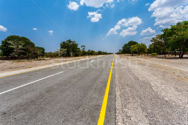 Zdjęcia stock: Nieskończony · drogowego · Błękitne · niebo · Namibia · gry · parku
