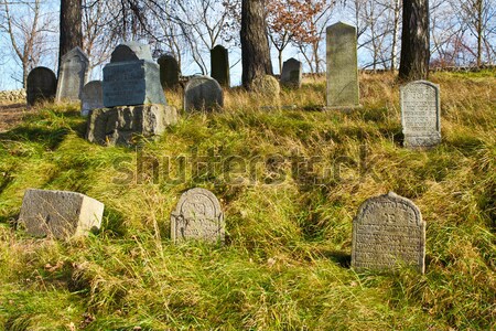 Zapomniany cmentarz kolory jesieni martwych brud Zdjęcia stock © artush