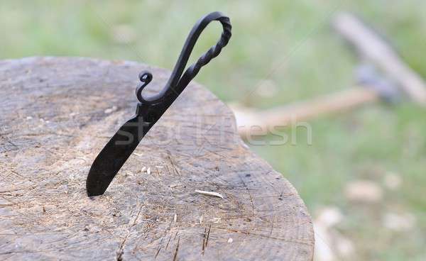 Wood carving
 Stock photo © asturianu