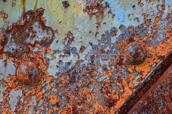Edad oxidado hierro hoja pared diseno Foto stock © asturianu