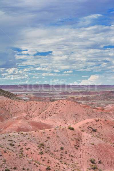 Petrified Forest National Park, USA. Stock photo © asturianu
