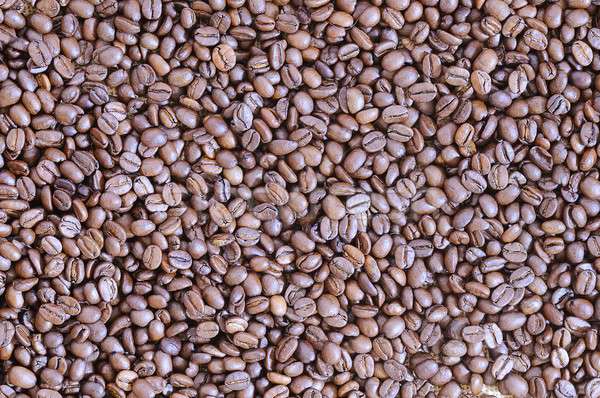 Coffee beans. Stock photo © asturianu