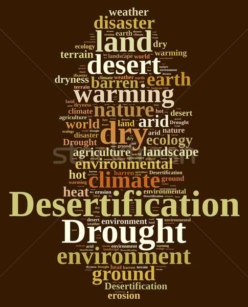 Desertification. Stock photo © asturianu