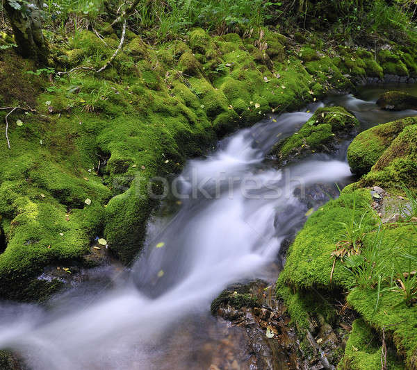  The river of silk. Stock photo © asturianu