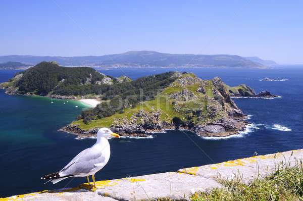 Islands Cies in Vigo, Spain. Stock photo © asturianu
