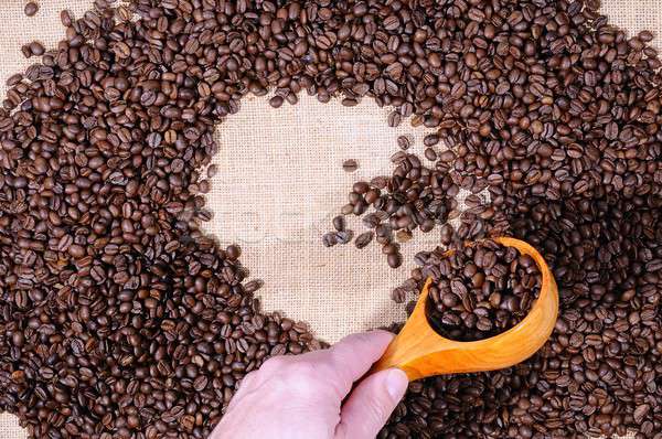 Coffee beans. Stock photo © asturianu